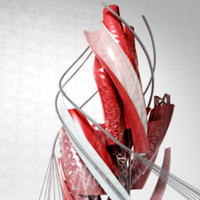 园林景观设计效果图