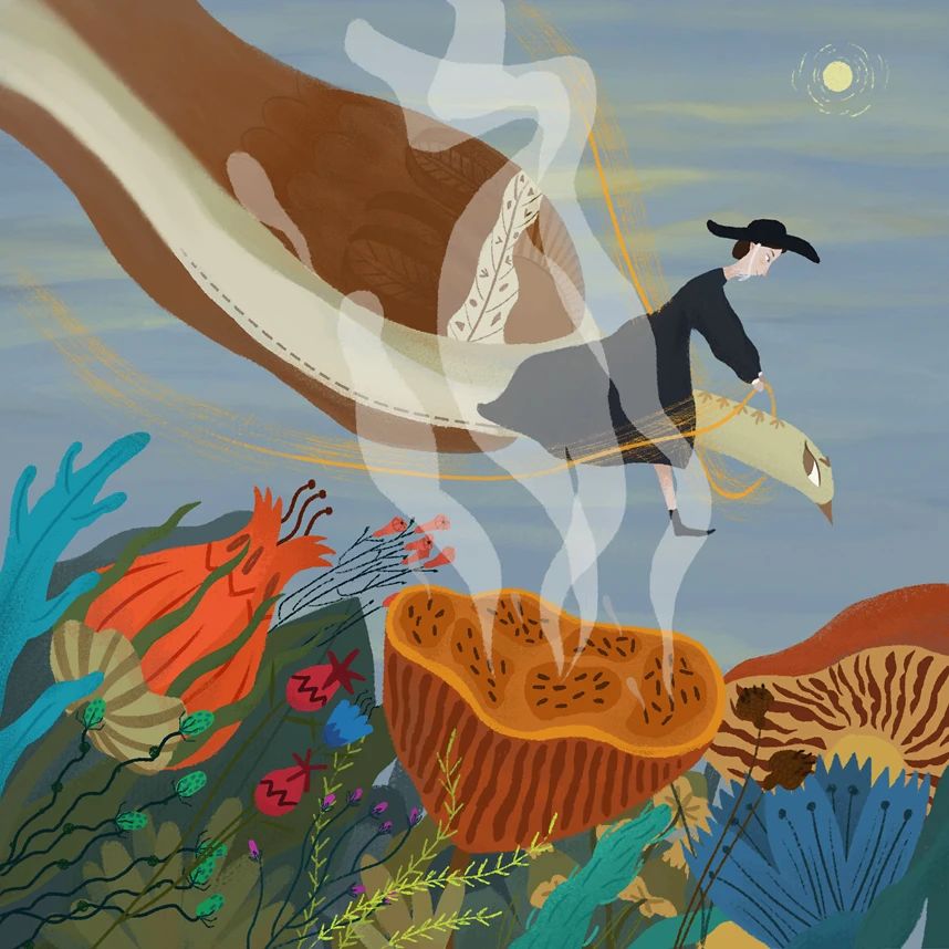 北京商业插画培训