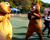 北京UI设计培训