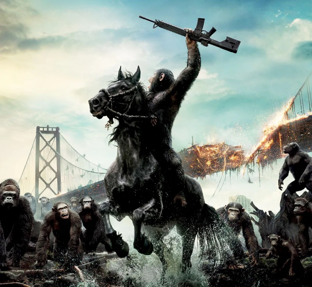 北京影视后期培训